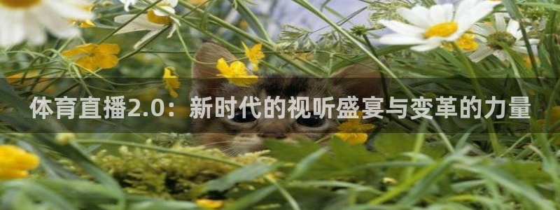 体育直播2.0：新时代的视听盛宴与变革的力量