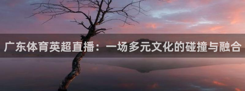 广东体育英超直播：一场多元文化的碰撞与融合