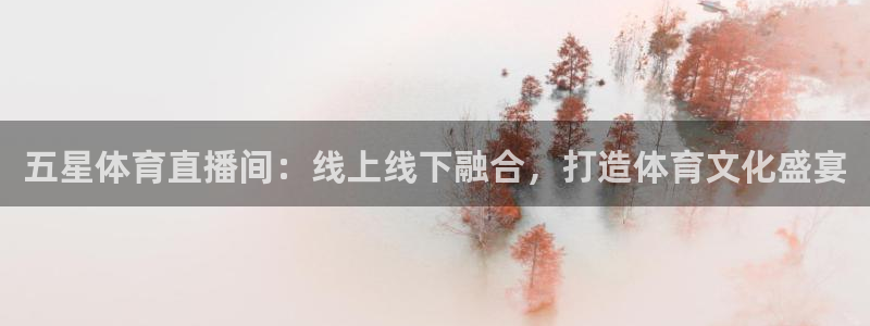 五星体育直播间：线上线下融合，打造体育文化盛宴