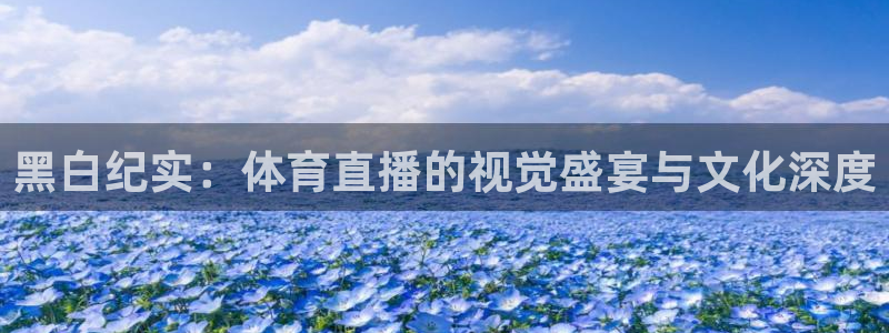 黑白纪实：体育直播的视觉盛宴与文化深度