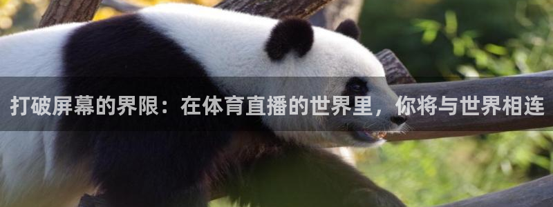 打破屏幕的界限：在体育直播的世界里，你将与世界相连