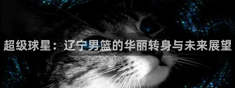 超级球星：辽宁男篮的华丽转身与未来展望